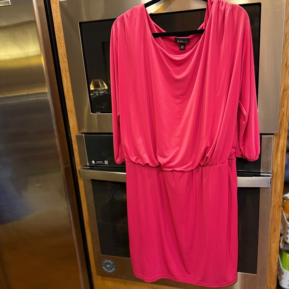 ALYX woman Pink Ruched Waist Dolman Sleeve‎ Dress Plus Size 16W